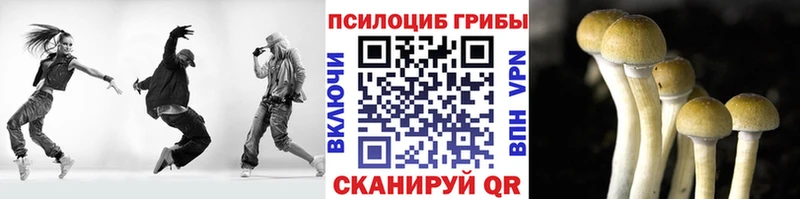 Псилоцибиновые грибы мицелий  купить закладку  hydra   Саранск 