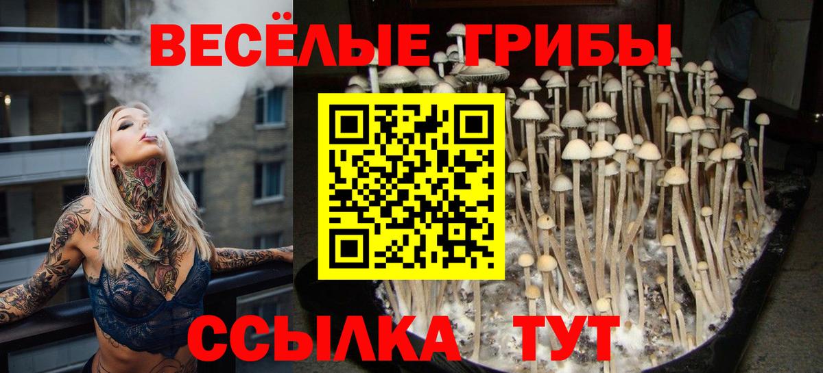 Псилоцибиновые грибы мицелий  Вход с VPN  Саранск 