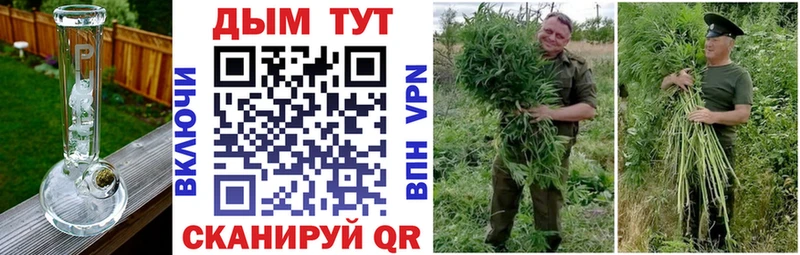МАРИХУАНА семена  закладка  Саранск 